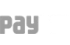 Paytm payment system