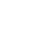 Wasim Akram ambassador